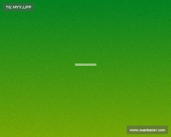 聚焦赛事费：全面解析与实用指南